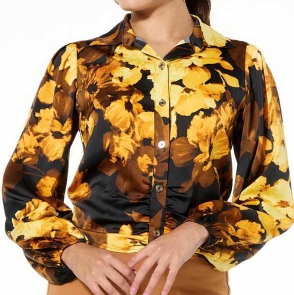 C WONDER BY CHRISTIAN SIRIANO GEORGETTE BUTTON BLOUSE. XL.NWOT - Picture 1 of 10